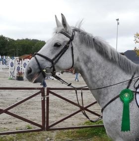 L-stevne Stord og E-stevne Arendal